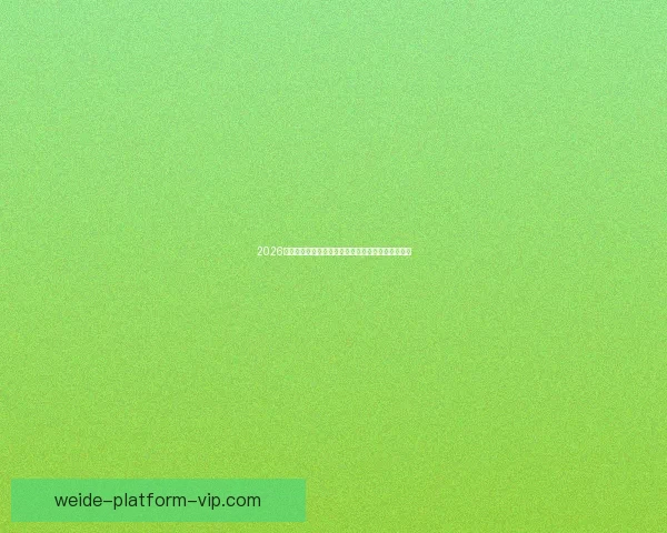 伟德平台使用体验全面评测及优缺点深度解析指南