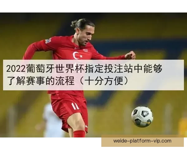 2026世界杯投注网站全面解析 预测热门球队与投注技巧